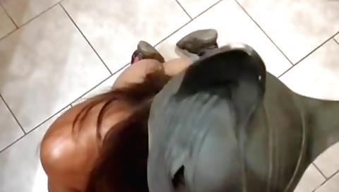 Indian chick with a round ass gets her mouth and pussy fucked 2