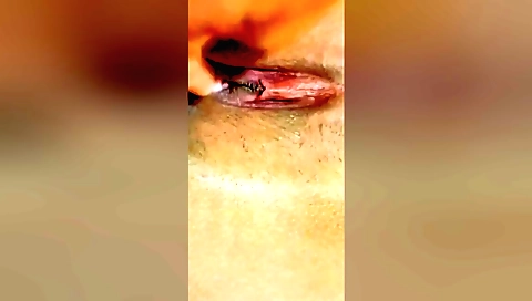 Indian amateur girl rides her lover's cock in bedroom